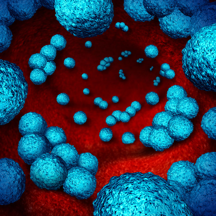 ‘Super-bugs’ – evolution before our very eyes?