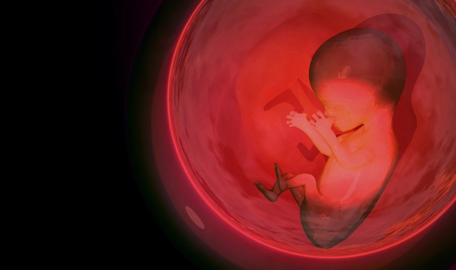 The war on the unborn gathers pace