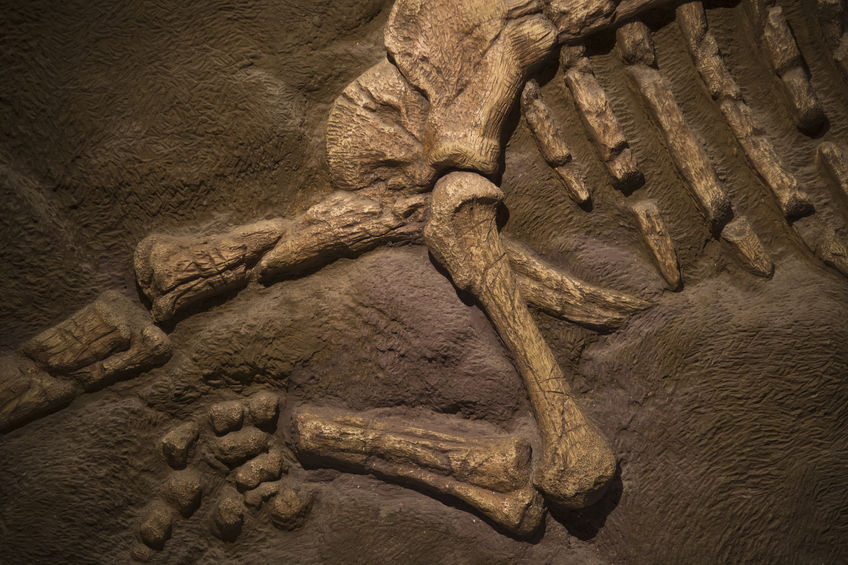 University settles with Creationist Scientist