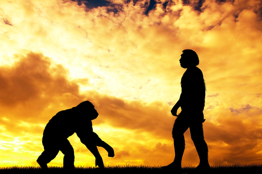 Evolution – what is your definition?